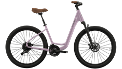 Cannondale Adventure 2